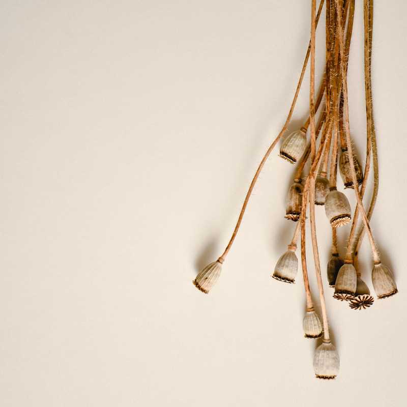 Spirituality Analytics – Is mankind more spiritual now&nbsp;?